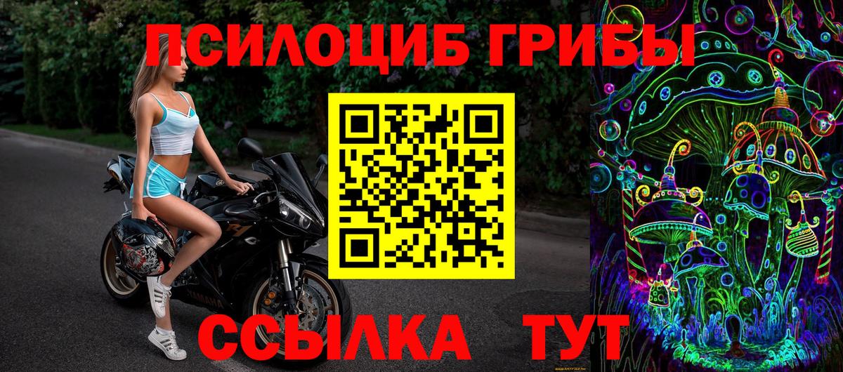 Псилоцибиновые грибы мицелий  Псилоцибиновые грибы мухоморы  Вход с VPN  Санкт-Петербург 